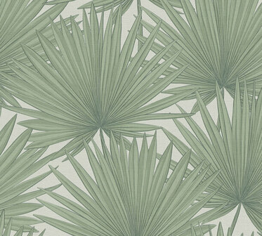 AS Creation Antigua 39090-1 - 390901 Groen / Wit Behang