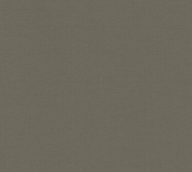 AS Creation Antigua 39097-7 / 390977 Beige Behang