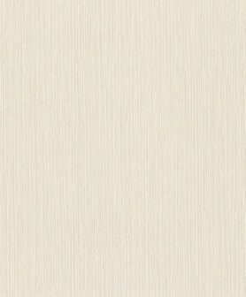 Rasch Curiosity 537628 Behang