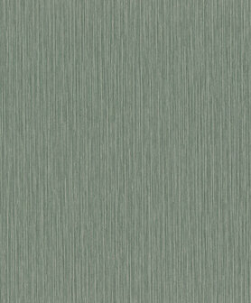 Rasch Curiosity 537666 Behang