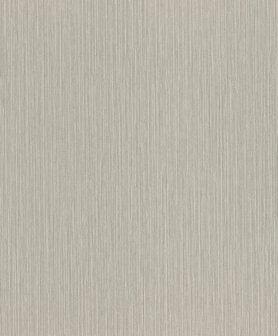Rasch Curiosity 537680 Behang