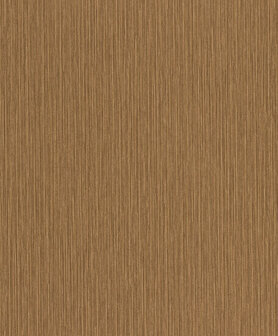 Rasch Curiosity 537734 Behang