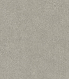 Rasch African Queen 3 - 751062 Grijs Behang