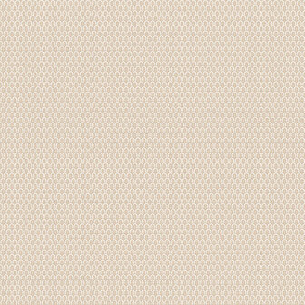 Dutch Wallcoverings Tapestry TP422803 Loop Beige Behang
