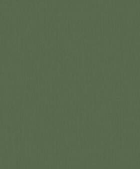 BN Wallcoverings Monochrome 221442 Groen Behang
