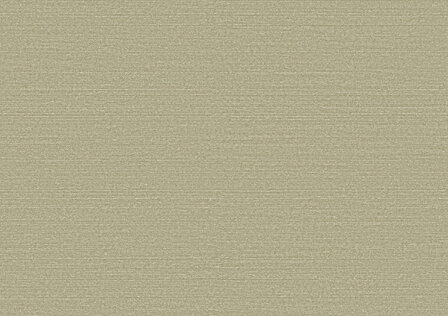 Arte Birds of Paradise SILKY BOP318 Behang