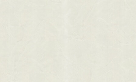 Dutch First Class Blumarine 5 29007 Behang