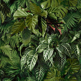 Dutch Wallcoverings Ciara A58601 groen Behang