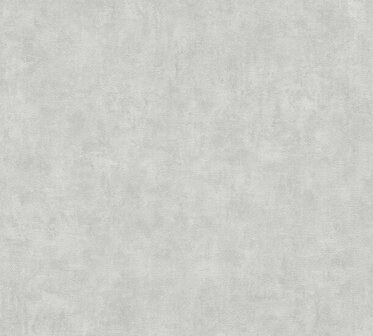 AS Creation Terra - 38922-2 / 389222 Grijs Behang