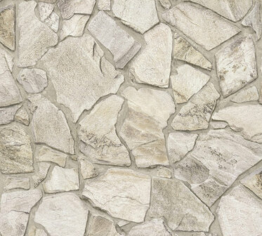 AS Creation Terra - 38931-2 - 389312 Beige / Grijs Behang