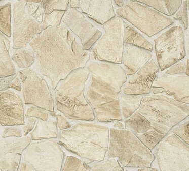 AS Creation Terra - 38932-9 - 389329 Beige / Bruin Behang
