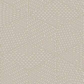 Dutch Wallcoverings Exclusive Threads TP422954 Taupe Behang