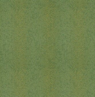 Dutch First Class Amazon River AR1208 Groen Behang