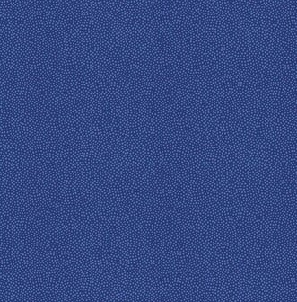 Dutch First Class Amazon River AR7003 Blauw Behang