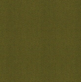 Dutch First Class Amazon River AR7008 Groen Behang
