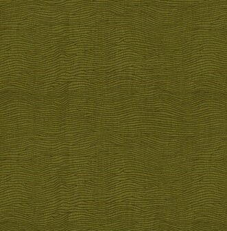 Dutch First Class Amazon River AR9108 Groen Behang