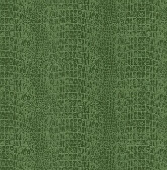 Dutch First Class Amazon River AR9907 Groen Behang