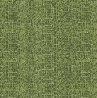 Dutch First Class Amazon River AR9908 Groen Behang