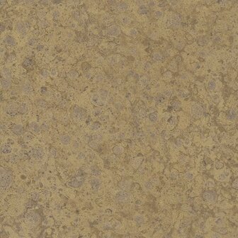 Noordwand Holistique 31029 Bruin - Metallic Behang