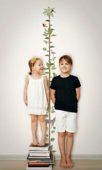 Noordwand Kids Walls Little Adventures 45885 Groen - Bruin Behang