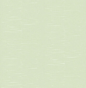 Dutch First Class Akira Groen AK2504 Behang