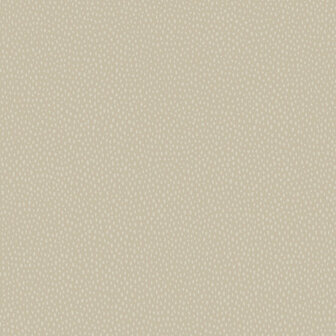 Dutch First Class Patagonia Beige FC36142 Behang