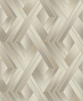 Dutch First Class Patagonia Taupe/Grey FC36190 Behang