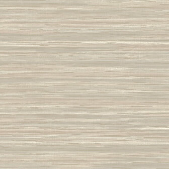 Dutch First Class Patagonia Taupe FC36211 Behang