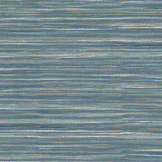 Dutch First Class Patagonia Navy FC36213 Behang