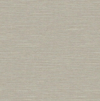 Dutch First Class Thom beige TH0616 Behang