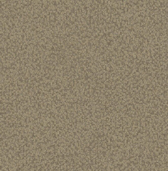 Dutch First Class Thom beige TH0708 Behang