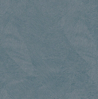 Dutch First Class Thom blauw TH9909 Behang