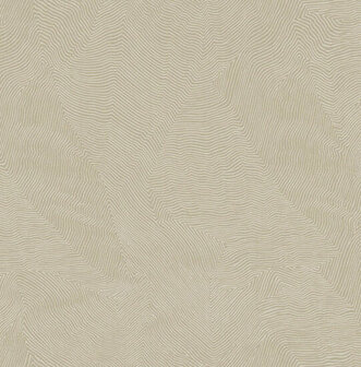 Dutch First Class Thom beige TH9920 Behang