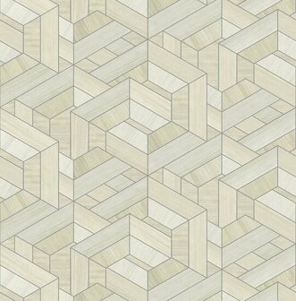 Dutch First Class Etre beige ET301 Behang