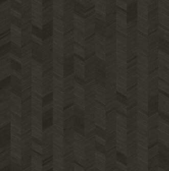 Dutch First Class Etre zwart ET505 Behang