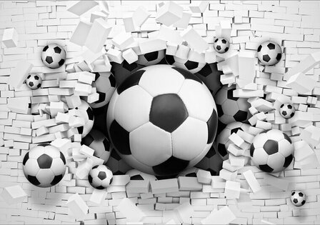 FBK Voetbal Fotobehang 3383 Behang