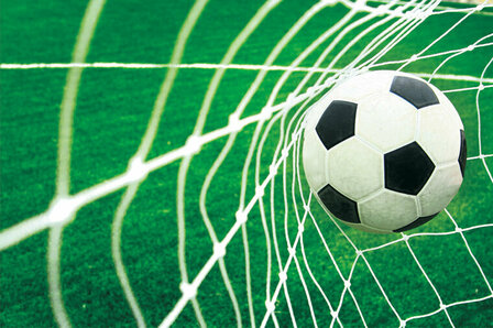 FBK Voetbal Fotobehang 015 Behang