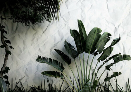 FBK Botanisch Fotobehang 12595 Behang