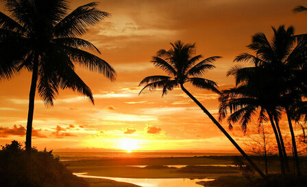 FBK Sunset Fotobehang 888 Behang