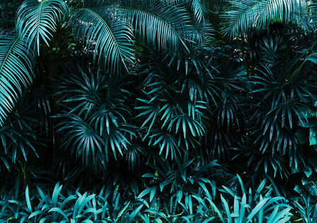 FBK Botanisch Fotobehang 12666 Behang