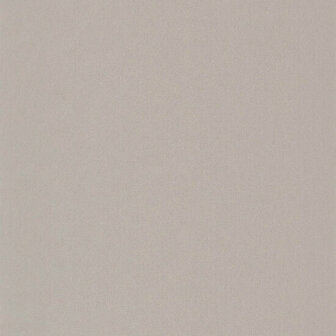 Casamance Delta B72122862 - Grijs Behang