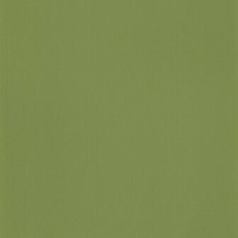 Casadeco Rose &amp; Nino RONI69867313 - Groen Behang