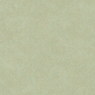 Casadeco So Color 5 COLR26217010 - Groen Behang