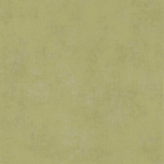 Casadeco Stone STNE80837207 - Groen Behang