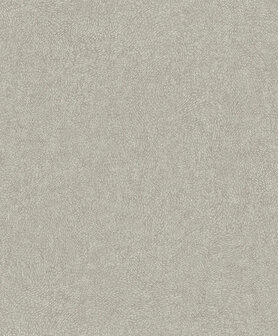 Dutch Wallcoverings Attitude A67003 Taupe Behang