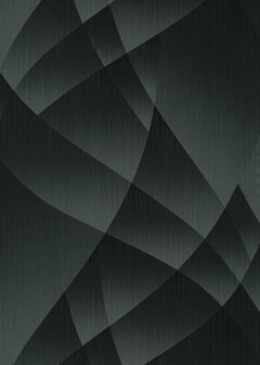 Dutch Wall Decor Fashion For Walls 4 10374-15 Zwart Behang