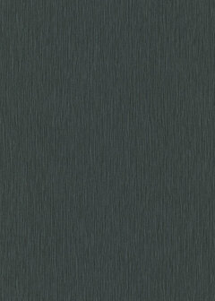 Dutch Wall Decor Fashion For Walls 4 10376-15 Zwart Behang
