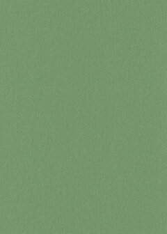 Dutch Wall Decor Aruba 12193-07 / ARD102707 Groen Behang