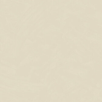HookedOnWalls Silhouette Tadelakt Plain 34802 Beige Behang