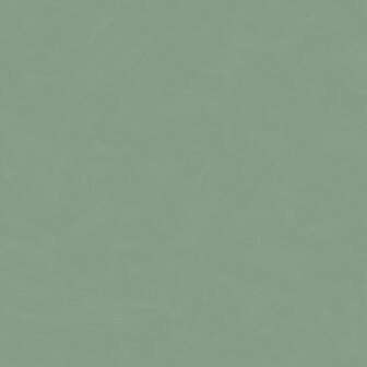 HookedOnWalls Silhouette Tadelakt Plain 34812 Groen Behang